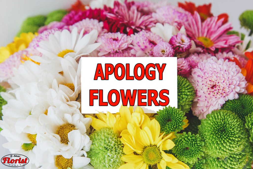 apology flowers cape-coral