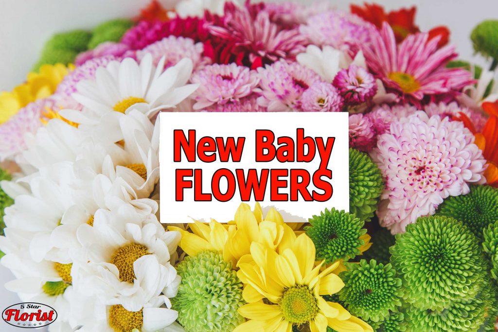 new baby flowers cape-coral